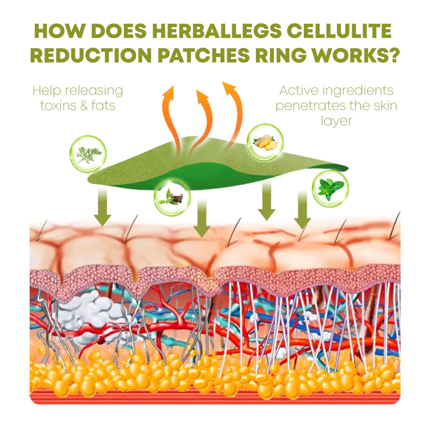 PuriHerbal LegsCellulite VanishPatches